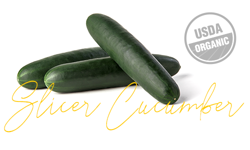 automatic cucumber slicer